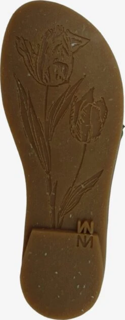 El Naturalista Sandalen & Slippers Sandaal Dames Olijfgroen -Hummel Winkel ca79817d6447f87da21a48d3cbb51437