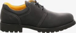 Panama Jack Casual Veterschoenen Veterschoen Panama Heren Zwart 8 Panama Jack Casual Veterschoenen Veterschoen Panama Heren Zwart -Hummel Winkel d0c40447b76c4d4f8287580ebbe09333