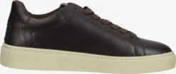 Gant Fashion Sneakers Sneakers Laag Heren Donkerbruin 12 Gant Fashion Sneakers Sneakers Laag Heren Donkerbruin -Hummel Winkel d0fce600cffffa38dd1ea4ecde2a9e9b