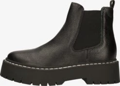 Steve Madden Enkellaarsjes Chelsea Boots VEERLY Dames Zwart -Hummel Winkel d34483b8388374385e76788d500d6eb5