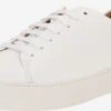 Royal RepubliQ Casual Sneakers Sneakers Laag Doric Bound Dames Wit
