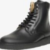 Boots & Laarzen Veterboots Barney PDB Heren Zwart
