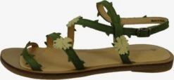 El Naturalista Sandalen & Slippers Sandaal Dames Olijfgroen -Hummel Winkel e1c4561b899fea28a34c5cf64e40edb3
