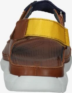 Pikolinos Sandalen & Pantoffels Sandalen Heren Donkerbruin -Hummel Winkel e74b9ac47ab0ccc400fc3184a742154c