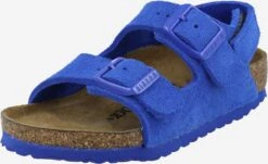 Birkenstock Sandalen Open Schoenen Milano Kinderen Blauw