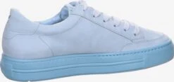 Paul Green Casual Sneakers Sneakers Laag Dames Hemelsblauw -Hummel Winkel f094c4b8ea0d4b10c345b1f0e11be46a