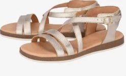 Apple Of Eden Sandalen Met Bandjes Sandalen Met Riem IRINA Dames Goud 17 Apple Of Eden Sandalen Met Bandjes Sandalen Met Riem IRINA Dames Goud -Hummel Winkel f27361396f4141525524d3cee5ea0d9d