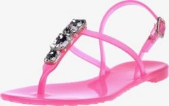 Baldinini Slippers Teenslipper Dames Rosa