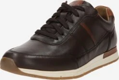 Pius Gabor Casual Veterschoenen Veterschoen Heren Donkerbruin