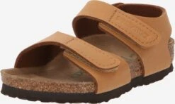 Birkenstock Sandalen Open Schoenen Palu Kinderen Karamel
