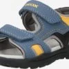 Geox Sandalen Open Schoenen Vaniett Kinderen Duifblauw