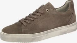 Casual Sneakers Sneakers Laag Heren Mokka