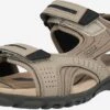 Geox Sandalen & Pantoffels Sandalen Strada Heren Beige / Donkerbeige -Hummel Winkel fcde2035bfc5495c81bb20d45e3b3262